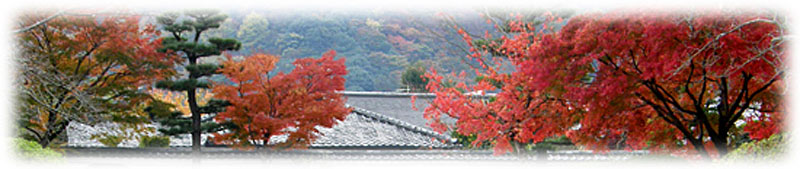 京都の紅葉画像