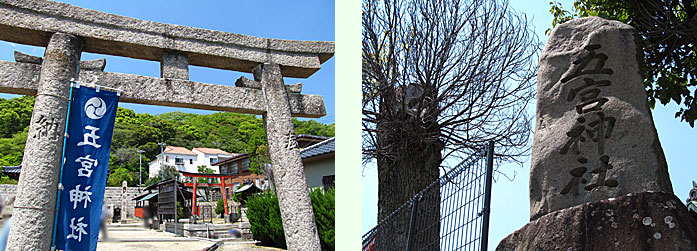 いつも有難うございます。