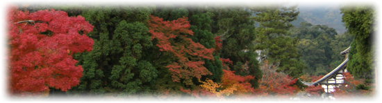 天龍寺