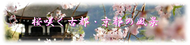 桜咲く古都・京都の風景