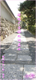 Kyoto_Sakura Logo