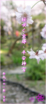 Kyoto_Sakura Logo
